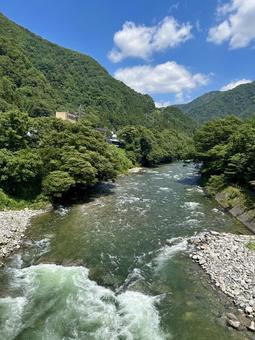 夏の谷川橋より 夏の谷川橋よりの写真