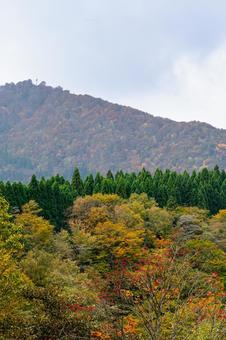 深まる山々の彩り 紅葉,山,風景の写真素材
