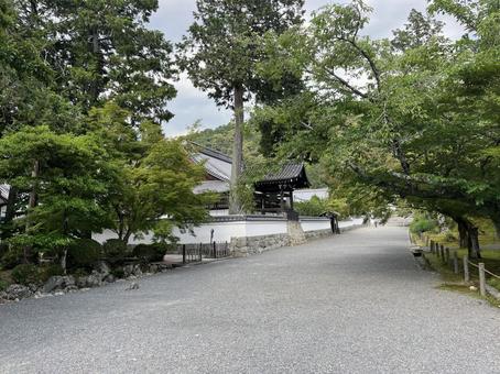 南禅寺 南禅寺,寺院,京都の写真素材