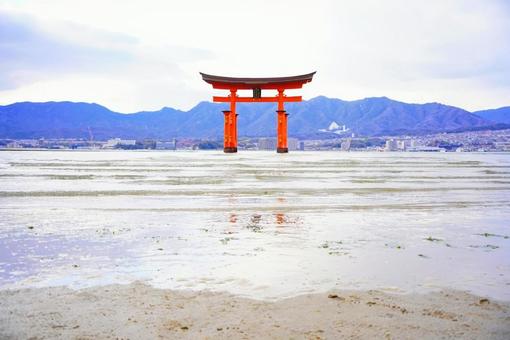 世界遺産宮島の厳島神社の大鳥居 世界遺産宮島の厳島神社の大鳥居の写真