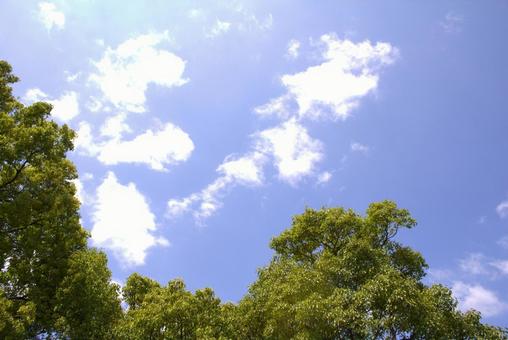 Photo, blauer himmel, leer, wolke, 