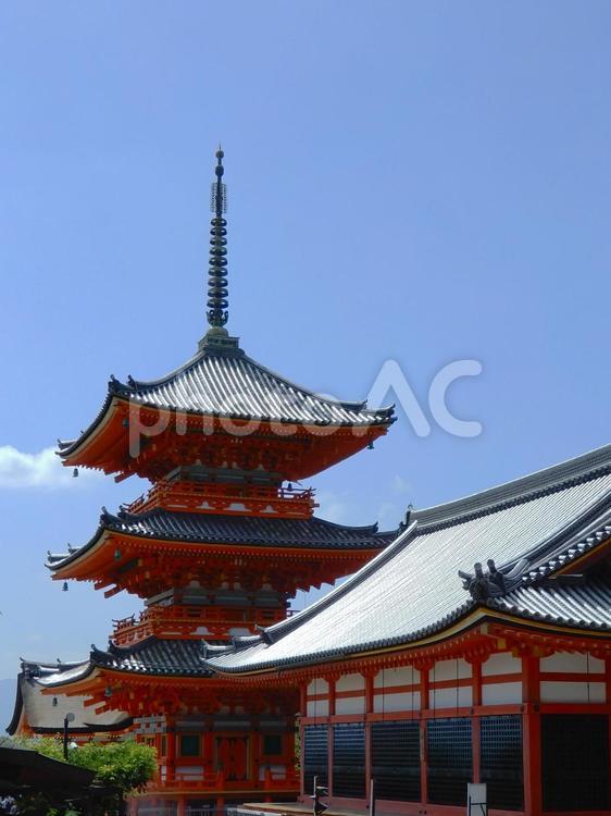 清水寺　三重塔 清水寺,三重塔,世界遺産の写真素材