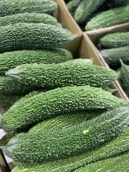 Photo, nigauri, bitter gourd, goya, 