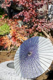 日本の伝統を感じる紅葉と和傘の美しい風景 日本の伝統を感じる紅葉と和傘の美しい風景 紅葉,和傘,秋の写真素材