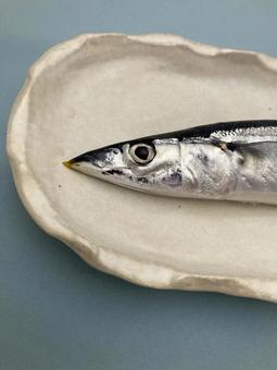 さんまの頭の写真