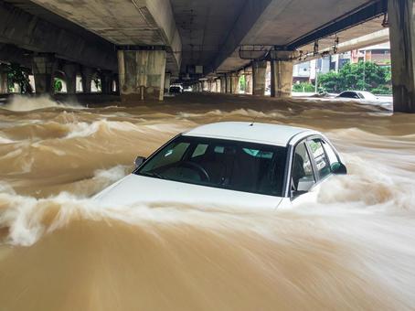 冠水 冠水の写真