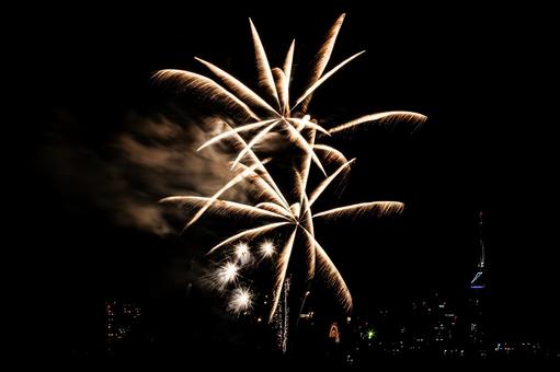 キラキラと綺麗な打ち上げ花火 キラキラと綺麗な打ち上げ花火 花火,打ち上げ花火,打上花火の写真素材