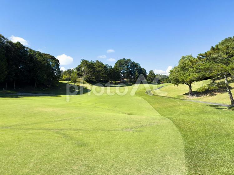 真夏のゴルフ場 ゴルフ,ゴルフ場,ゴルフコースの写真素材