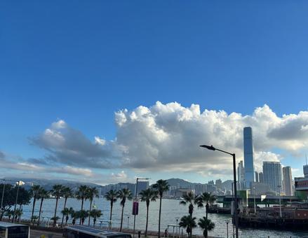 青空と海に映える香港の高層ビルとヤシの木 香港,海,青空の写真素材