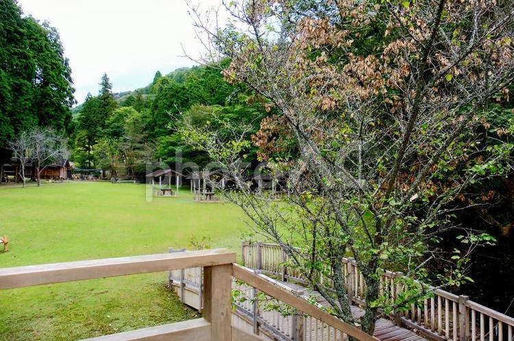 兵庫県立ゆめさきの森公園 山,木々,池の写真素材