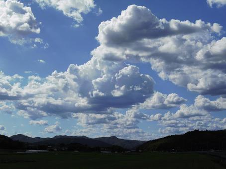 夏空 夏空の写真