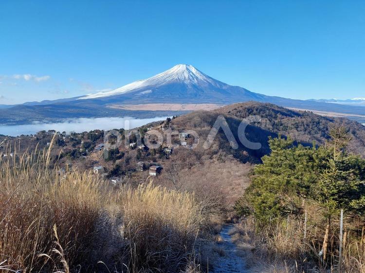 冬の早朝　別荘街と富士山 富士山,平尾山,山頂の写真素材