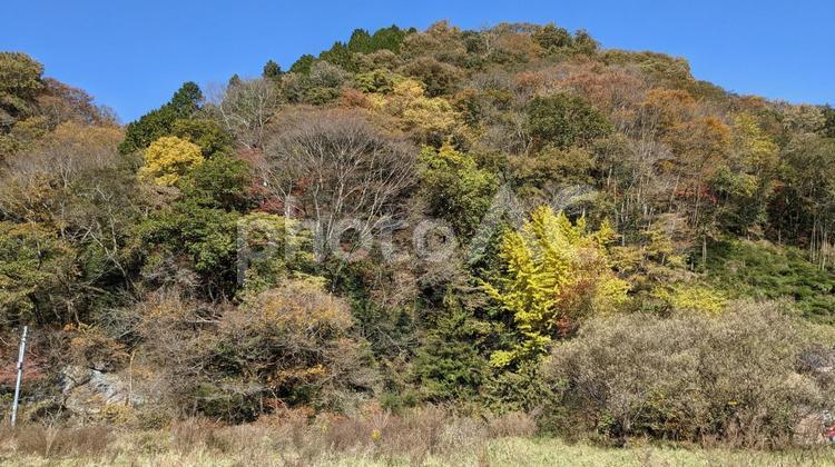 広島県　帝釈峡　秋の紅葉 帝釈峡,神龍湖,庄原の写真素材
