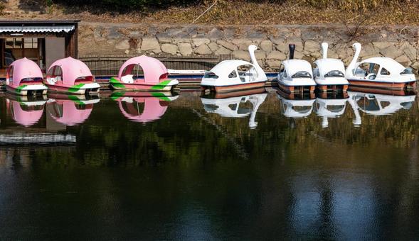 旭川に反射する桃型の船とスワン船 旭川に反射する桃型の船とスワン船の写真