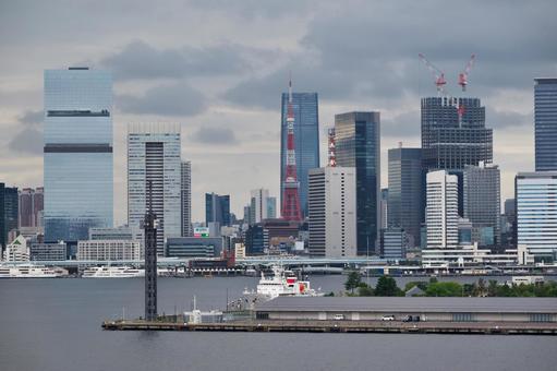 豊洲市場屋上緑化広場から見る東京タワー 豊洲市場,屋上緑化広場,東京タワーの写真素材