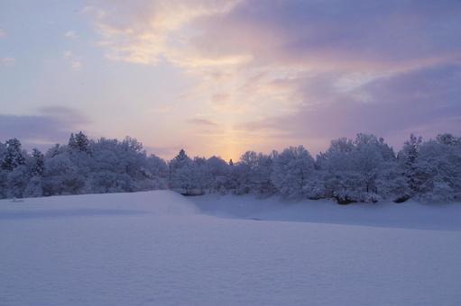 雪景色の朝 雪景色の朝 朝焼け,マジックアワー,スペースの写真素材