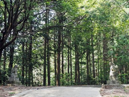 岡山県津山市 サムハラ神社 奥の宮 狛犬 岡山県津山市 サムハラ神社 奥の宮 狛犬 サムハラ神社,奥の宮,狛犬の写真素材