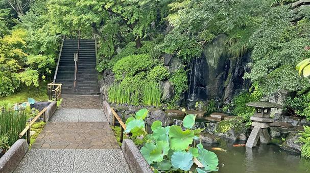 坂東33観音 04番 長谷寺 放生池 長谷寺,海光山,慈照院の写真素材