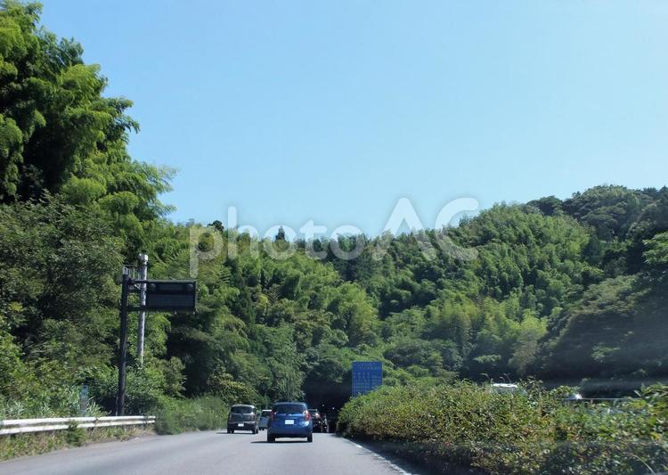 緑あふれる山の道路は岡部トンネルへと続く 道路,山道,上り坂の写真素材