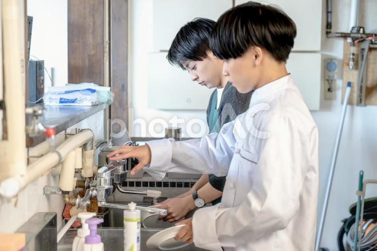 皿洗いをするスタッフ 男性,シェフ,コックの写真素材