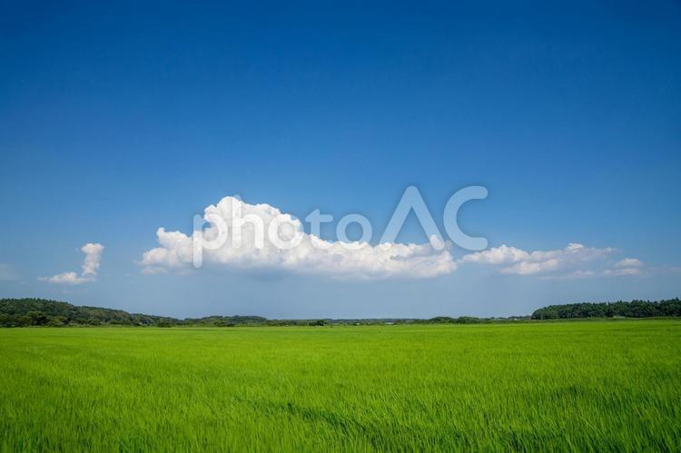 田園風景 田園風景,田舎,田舎暮らしの写真素材