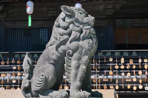 函館八幡宮の狛犬 神社,函館八幡宮,狛犬の写真素材