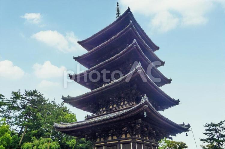 【奈良県】興福寺五重塔 興福寺,五重塔,奈良の写真素材