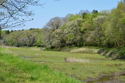 早春の里山 早春,里山,芽吹の写真素材