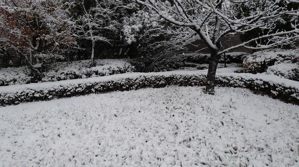 雪の降った後 雪の降った後の写真