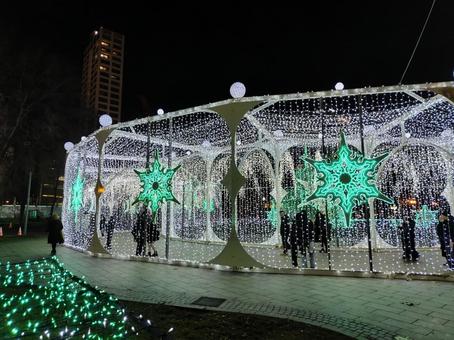 冬の札幌：ホワイトイルミネーション イルミネーション,ホワイトイルミネーション,札幌の写真素材