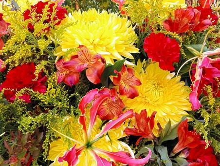秋のフラワーアレンジメント 2 秋のフラワーアレンジメント 2 キク,黄菊,グロリオサの写真素材