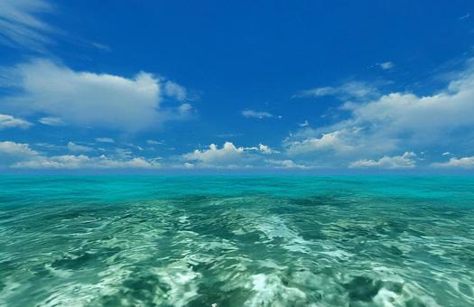 夏の海 夏の海の写真