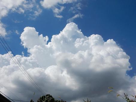 【風景写真】夏空 【風景写真】夏空の写真