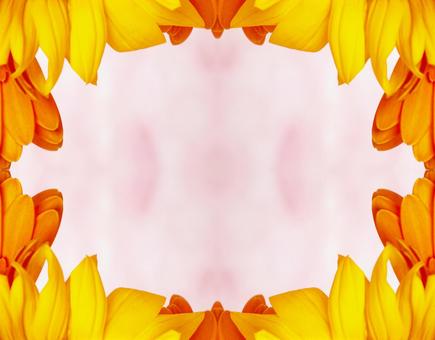 黄色とオレンジ色の花柄イメージ素材 黄色とオレンジ色の花柄イメージ素材 花,背景,黄色の写真素材