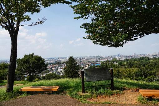 近くの公園散歩7 近くの公園散歩7の写真