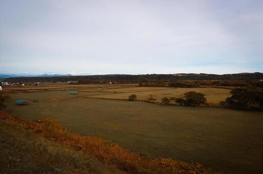 北海道の草原 牧場,草原,芝の写真素材