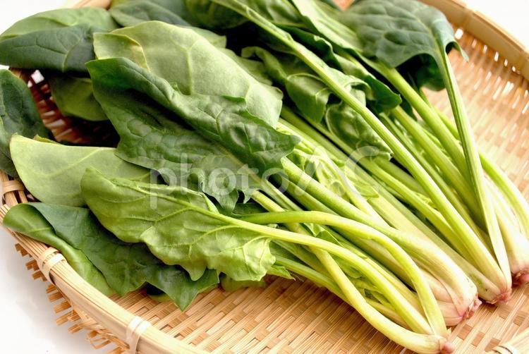 ザルにのせたほうれん草 ほうれん草,野菜,冬野菜の写真素材