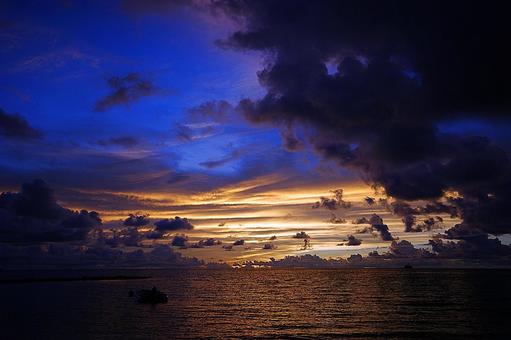 パラオ　パシフィックリゾート52　ビーチの写真