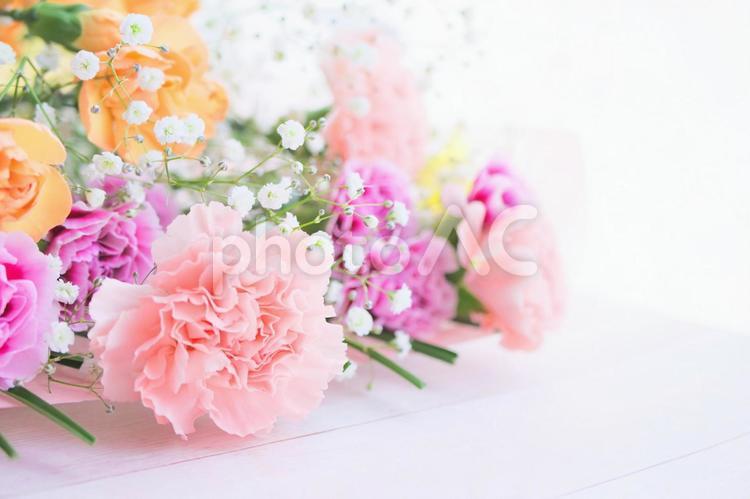 お祝いの花束～カーネーションとかすみ草 花束,春,花の写真素材
