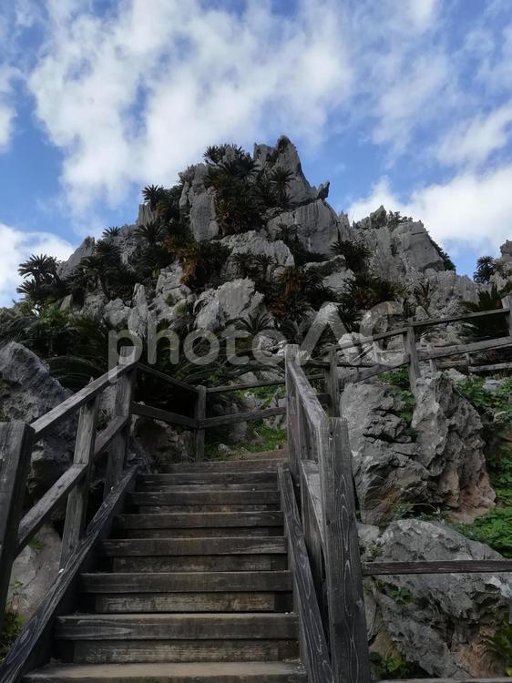 沖縄県　大石林山の風景 大石林山,沖縄県,石の写真素材