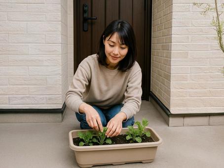 プランターガーデニングする女性 プランターガーデニングする女性の写真