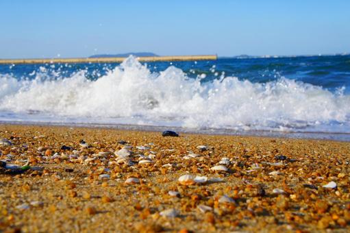 福岡県、シーサイドももち海浜公園15 風景,日本,九州の写真素材