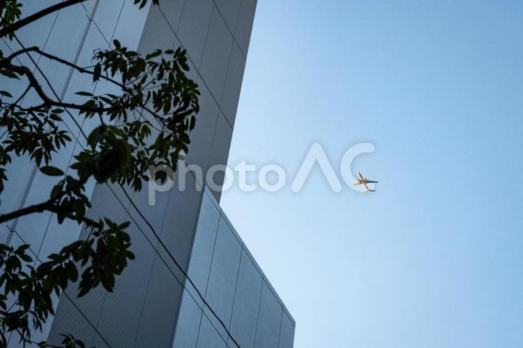 新宿のビル群の間に見える冬空を飛ぶ飛行機 飛行機,冬空,フライトの写真素材