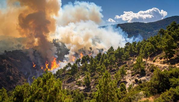 大規模な山火事 大規模な山火事の写真