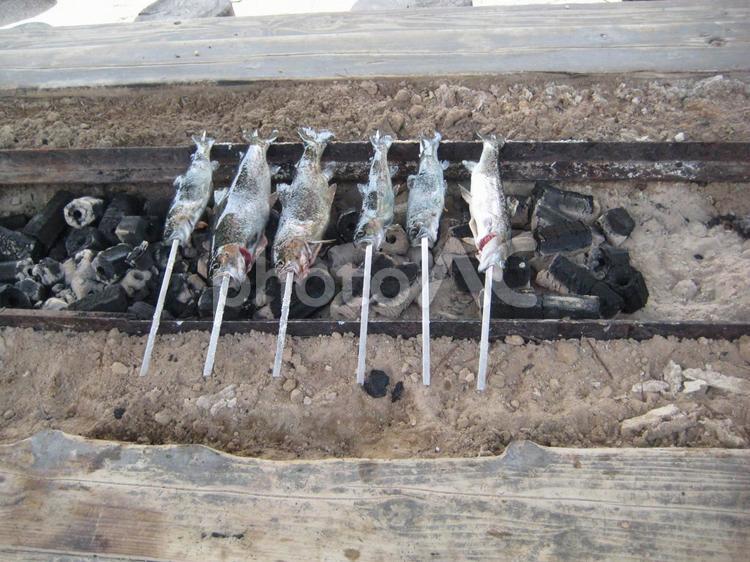 鮎の塩焼き アウトドア,グループ（抽象化）,バックグランドの写真素材