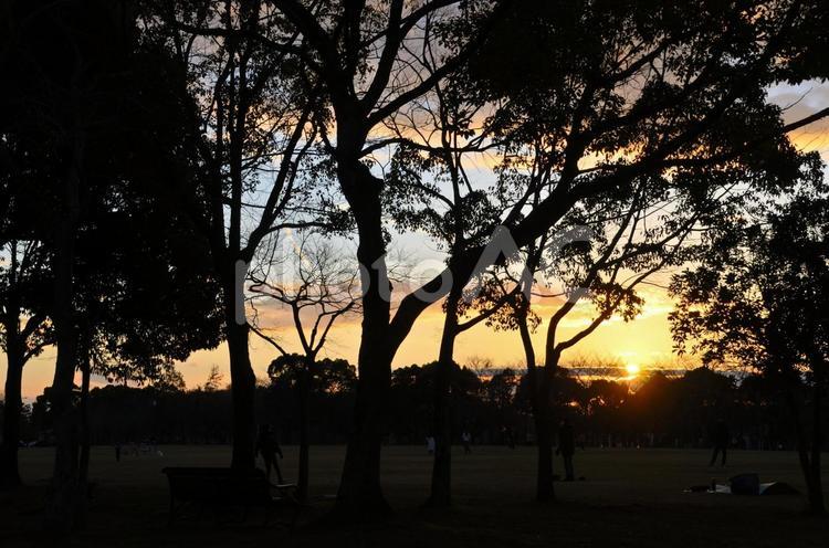 夕陽の風景 夕陽,夕焼け,空の写真素材
