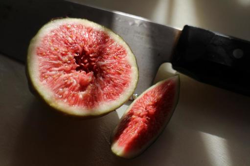 自家製いちじく　その１ 植物,無花果,甘いの写真素材