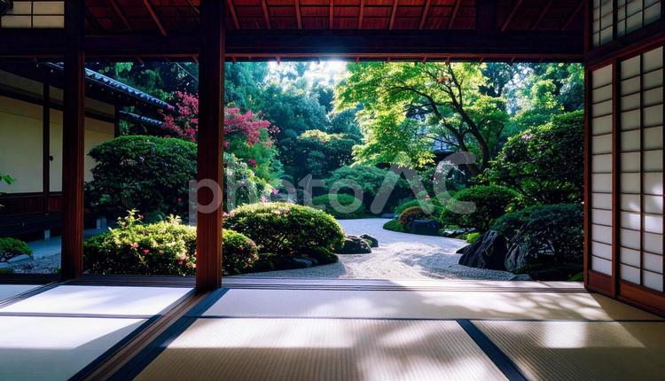 和室から眺める日本庭園 和室,障子,庭の写真素材