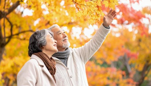 紅葉狩り 紅葉を眺めるシニア夫婦の横顔 紅葉狩り 紅葉を眺めるシニア夫婦の横顔の写真