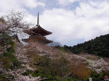 京都 清水寺 京都 清水寺の写真
